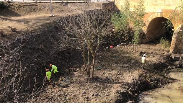 Limpieza para liberar los ojos cegados por las avenidas del puente romano de Alcalá de Guadaíra