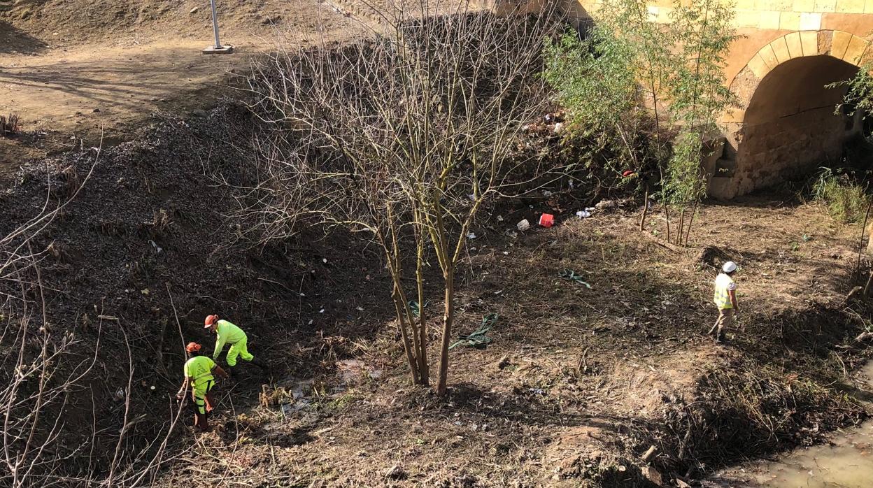 Las labores han comenzado por la zona del puente romano