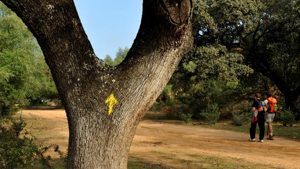 Rescatada una peregrina del Camino de Santiago que se desorientó en la Sierra Norte de Sevilla