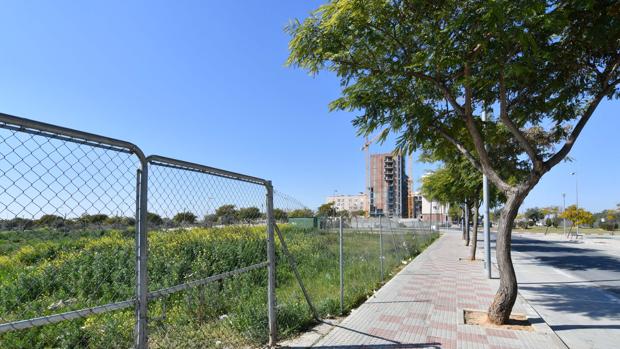 Convenio de colaboración con la Junta de Andalucía para la construcción de un nuevo colegio en Tomares