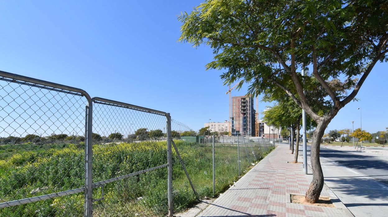 La parcela de 12.500 metros en la avenida de la Aurora que albergaría el nuevo colegio