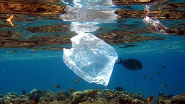 65 barcos extraen 2.500 kilos de basura de aguas de Sanlúcar, Barbate, Chipiona y el Puerto de Santa María