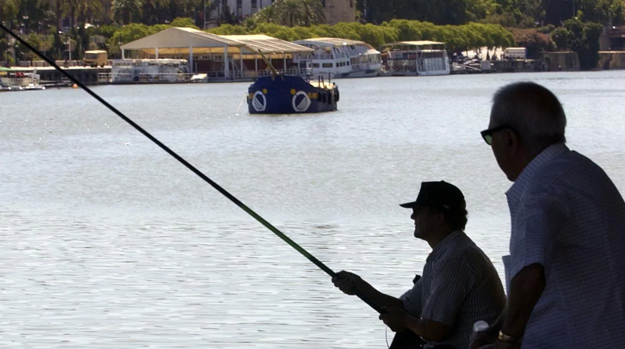 Un hombre pesca en el río Guadalquivir