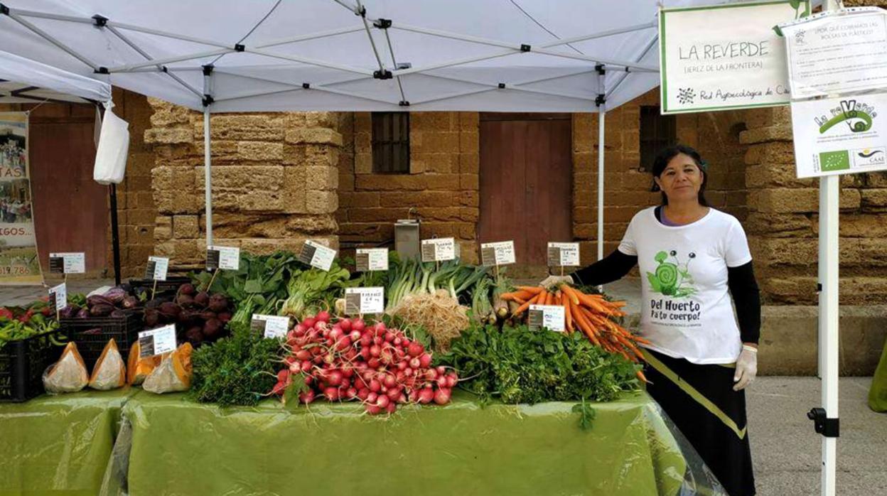 Mercado de productos ecológicos en Cádiz