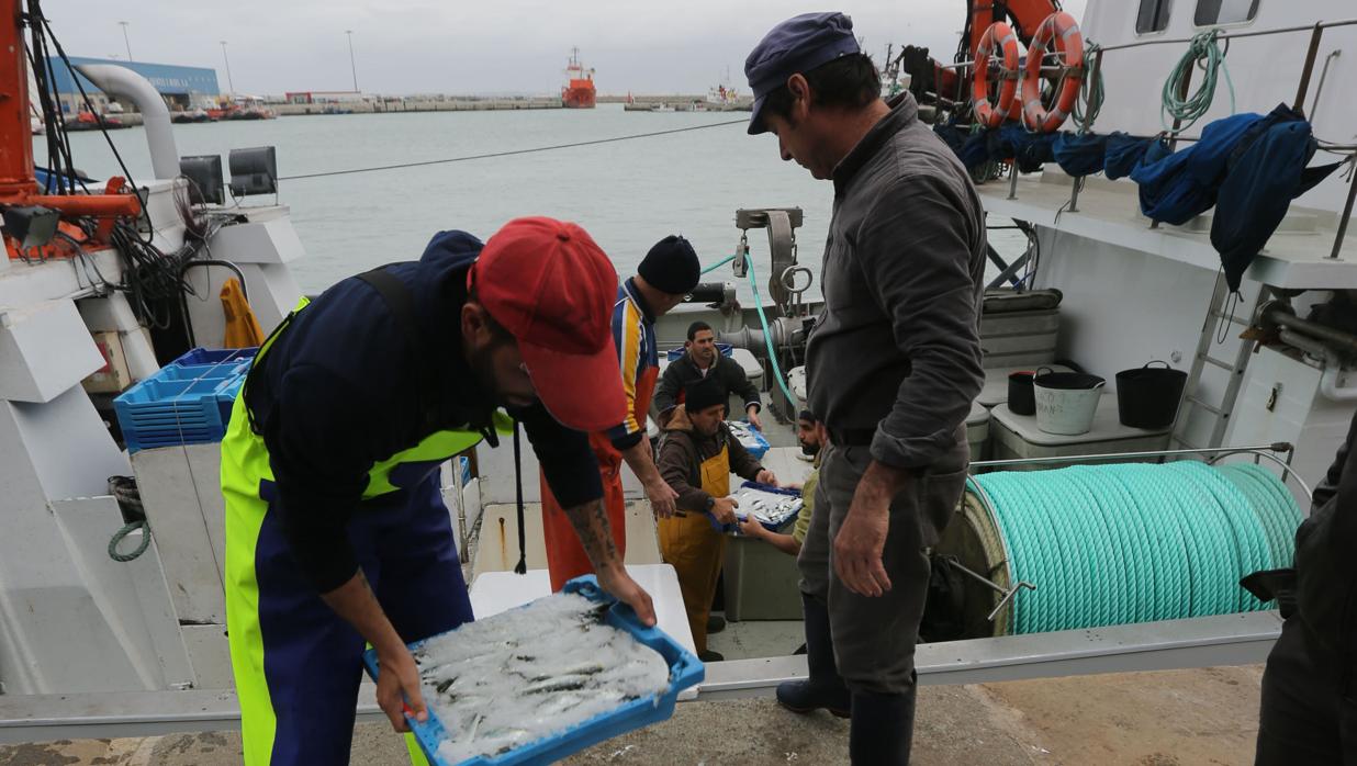 La Autoridad Portuaria invertirá 700.000 euros en las instalaciones pesqueras de Cádiz