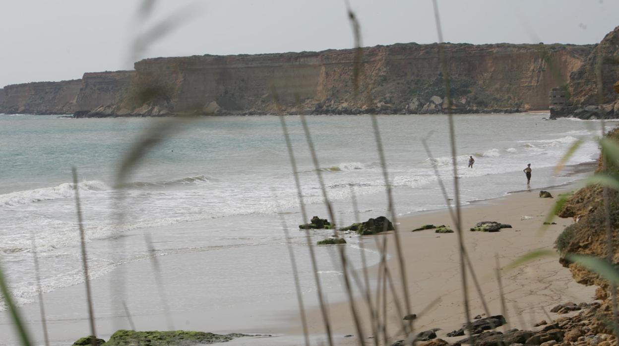 La playa Fuente del Gallo, en Conil de la Frontera.