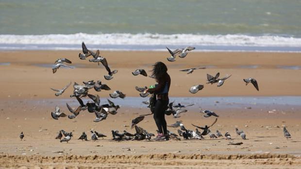 El tiempo en Cádiz: Caen las temperaturas