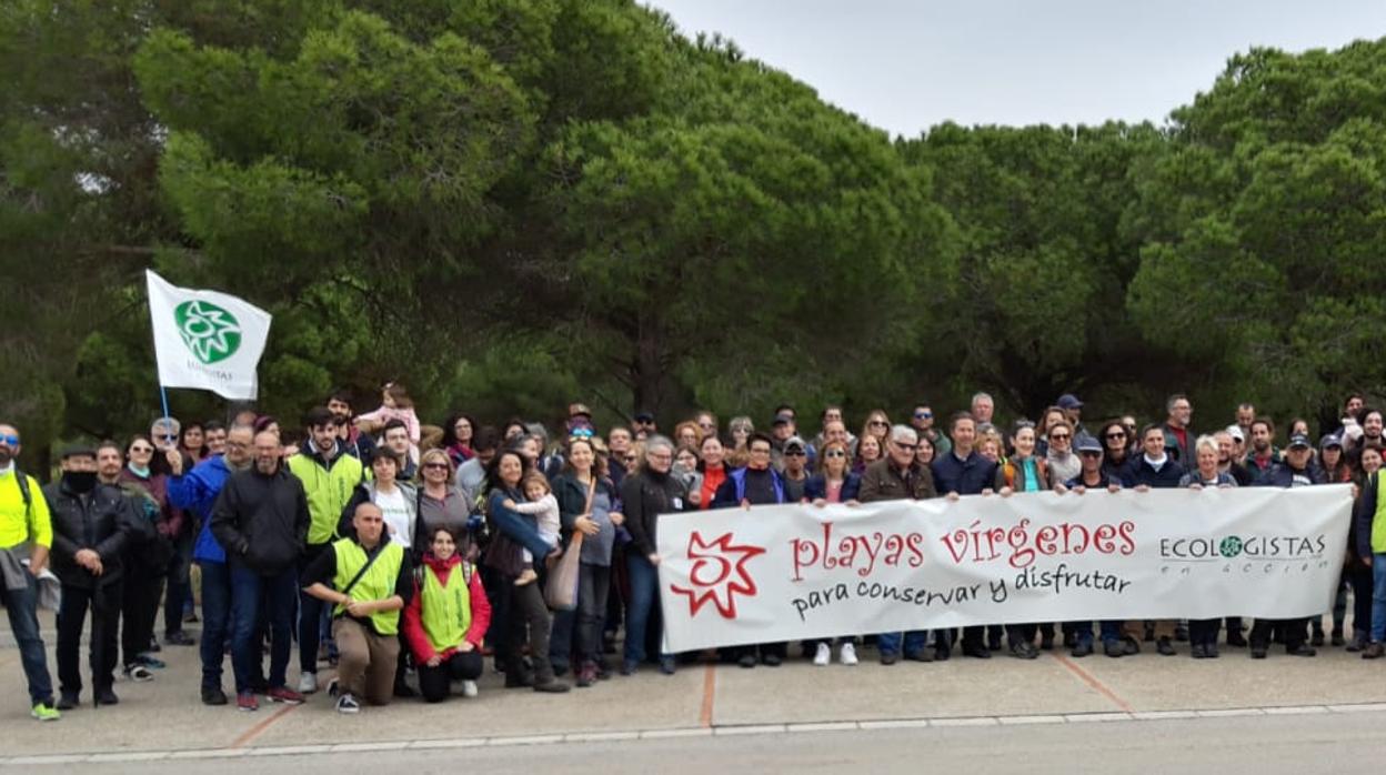 Podemos pide en el Congreso paralizar la construcción de 206 viviendas en el mayor pinar de Sancti Petri, en Chiclana