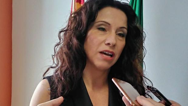 La Junta se reúne con Marea Blanca para abordar el plan de verano del SAS