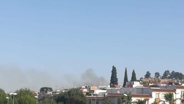 Segundo incendio en el Aljarafe, esta vez, en la ladera del Carambolo