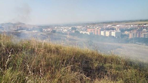 Los ecologistas de la reforestación del cerro del Carambolo ven «claramente intencionado» el incendio