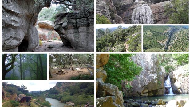 Rincones del Parque de los Alcornocales para no perderse