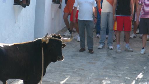 El toro de cuerda se celebra el lunes posterior a la festividad del Carmen.