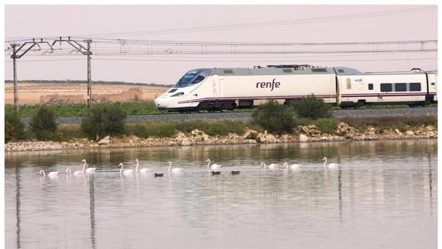 La falta de billetes desde Madrid suspende la manifestación en protesta por el tren a Algeciras