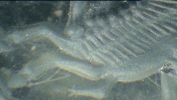 El Museo de Cádiz acoge la visita 'Objetos Arqueológicos No Identificados'