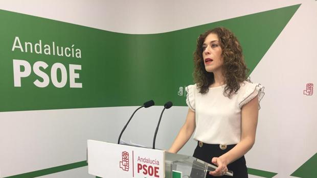 El PSOE pide a la Junta que deje de «atacar a los profesionales» de la Sanidad para «justificar su afán privatizador»