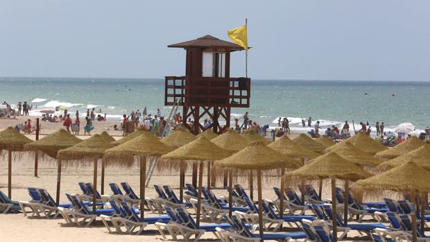 Bandera amarilla en las playas de Cádiz por la aparición de una nueva carabela portuguesa