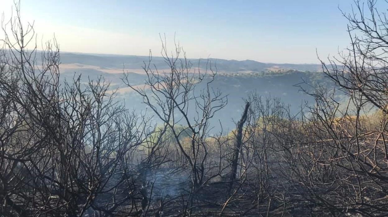 El incendio declarado en Vejer ya está controlado.