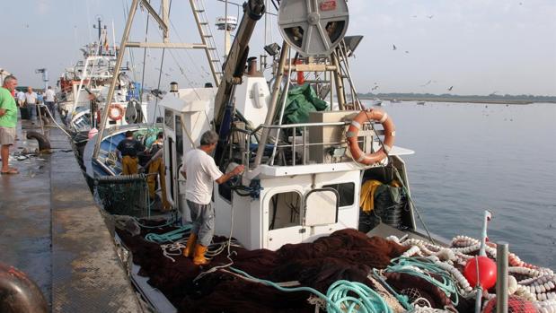 Pescadores de Barbate esperan poder volver a faenar en Marruecos a partir de la próxima semana