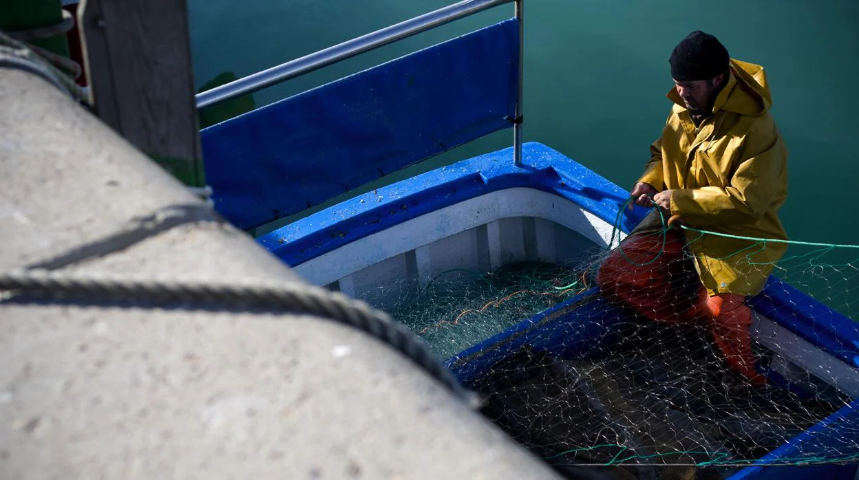 Un pescador manipulando una red de pesca en el puerto