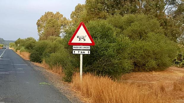 Nuevas medidas de seguridad en la Dehesa de Abajo para proteger al lince ibérico y prevenir incendios