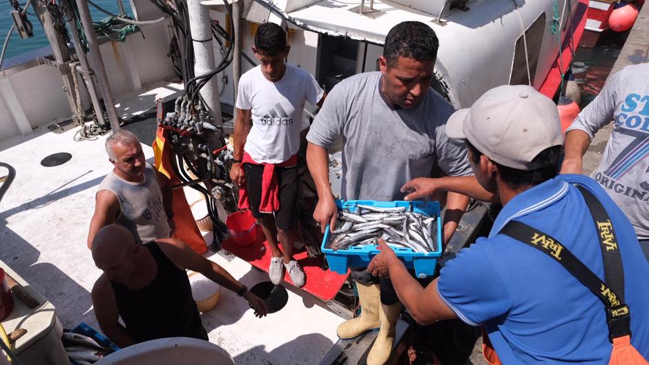 Los pescadores gaditanos ya faenan en Marruecos