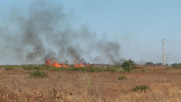 Alertan de un intenso incendio de pastos en la zona del Aljarafe