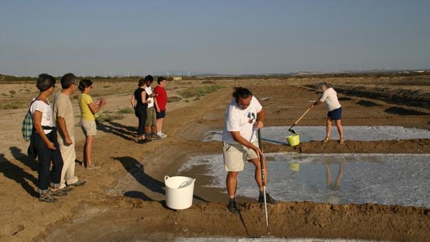 Ecologistas en Acción solicitará la concesión de la salina San José para garantizar el interés público