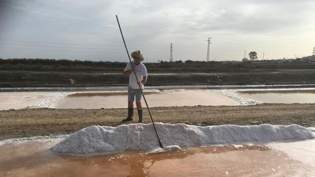 Las salinas de la Bahía de Cádiz buscan nichos de mercado