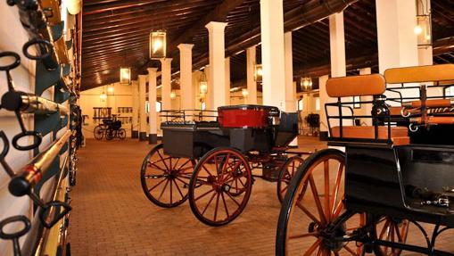 Carruajes de caballos antiguos expuestos en este museo jerezano