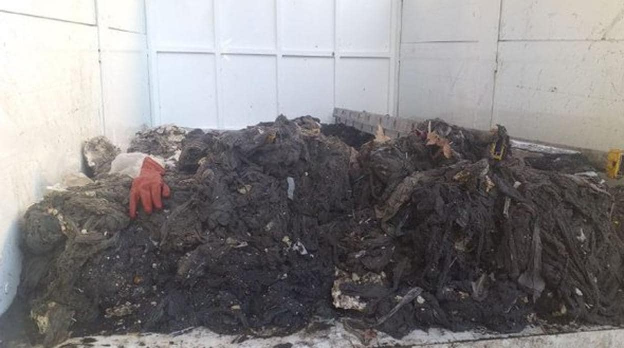 Toallitas húmedas extraídas de la red de saneamiento en la calle Goya