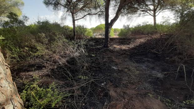 Incendio en el parque periurbano de Costa de Sancti Petri