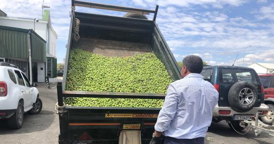 Uno de los remolques llegados a la cooperativa Labradores de La Campiña