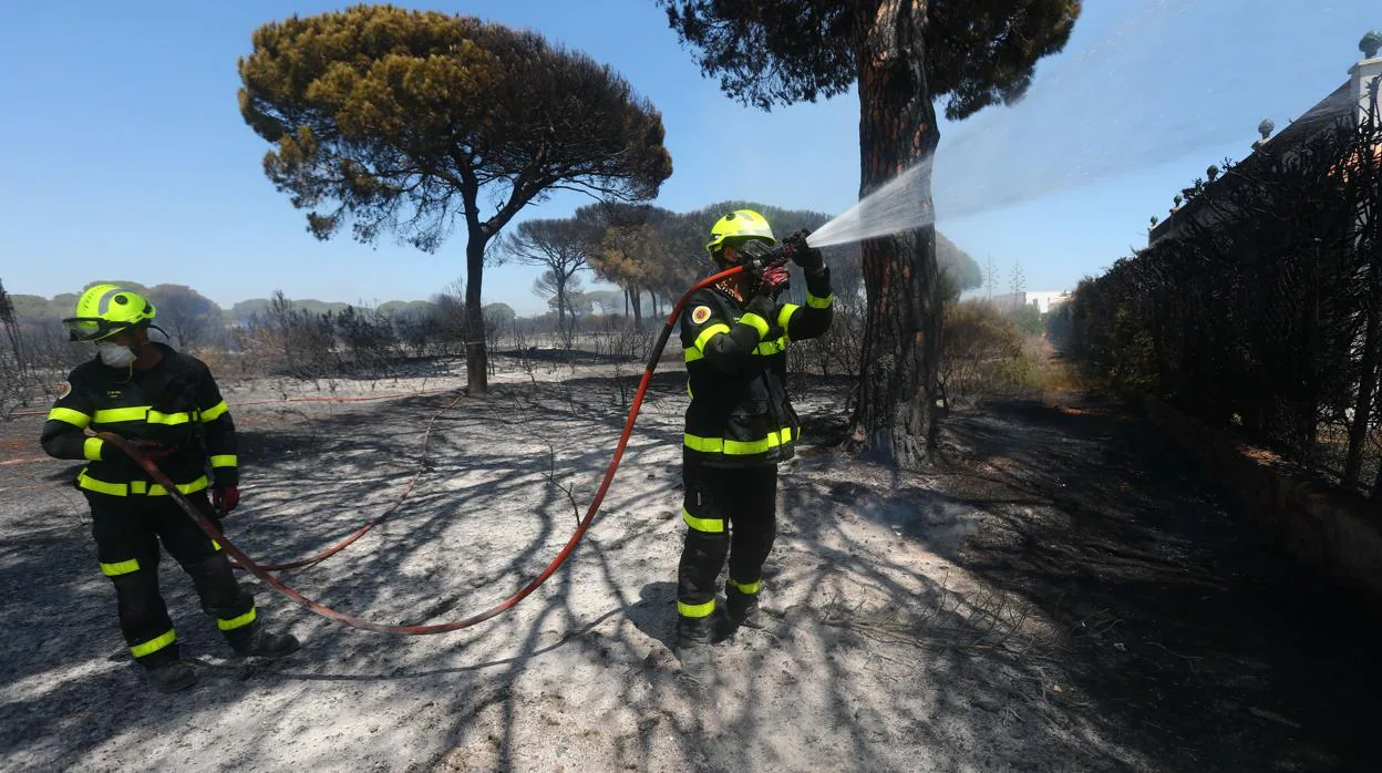 Los bomberos forestales del Plan Infoca, durante la actuación a principios de verano por el incendio en Pinar de Roche.