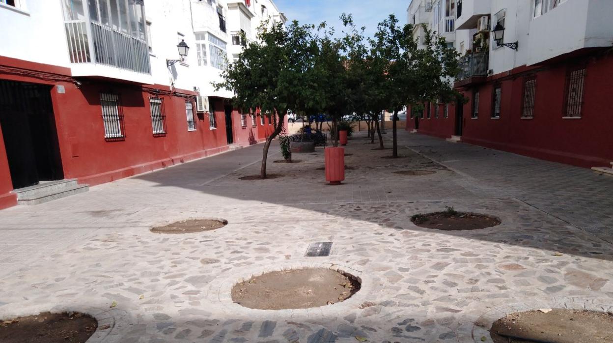 Según Podemos en la barriada de La Fontanilla de Utrera hay en la actualidad 82 alcorques vacíos