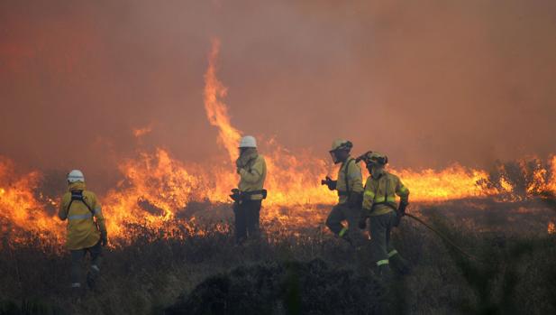 Declarado un incendio forestal en Castellar de la Frontera