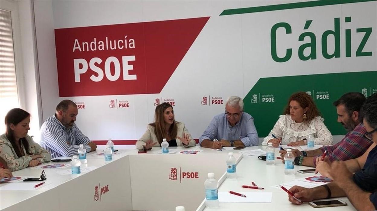 Araceli Maese dirigirá el comité de campaña del PSOE en la provincia