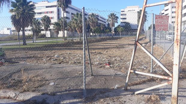 El Ayuntamiento actúa ante una plaga de ratas en el colegio de Valdelagrana