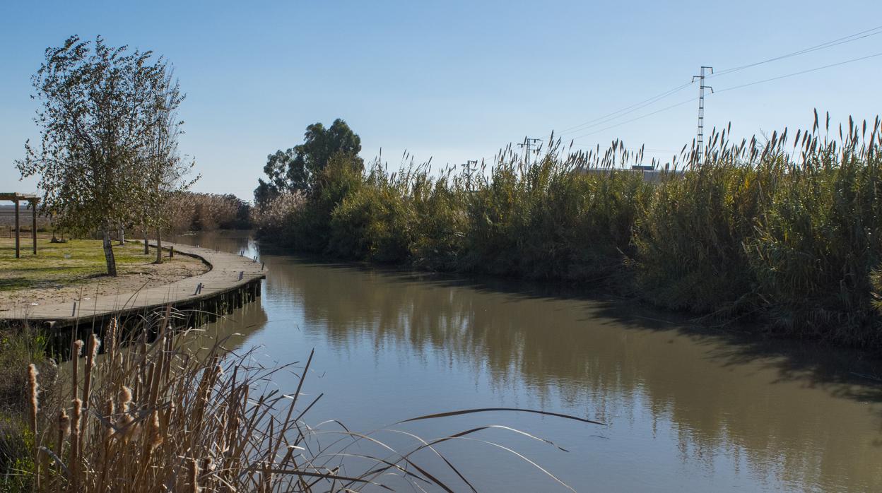 Brazo del río Guadalquivir que llega a Isla Mayor y que suelen usar los narcos para llevar la droga en lanchas