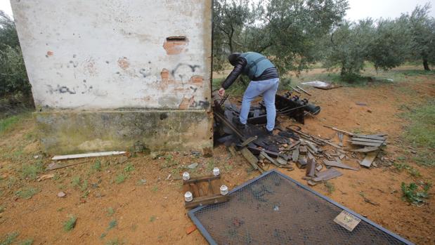 Un grupo de toxicómanos deja sin luz decenas de explotaciones agrícolas de la Vega y Sierra Norte