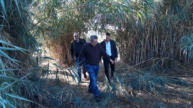 Limpiarán dos arroyos de Brenes, sin actuaciones desde hace 26 años, para frenar inundaciones