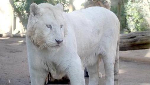 Instalaciones del zoo de Jerez