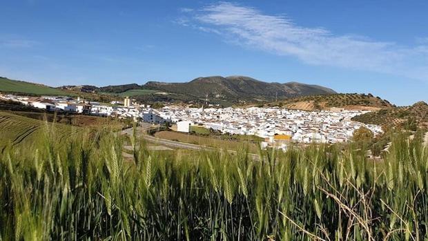 «Ha sido uno de los terremotos más fuertes de la historia»