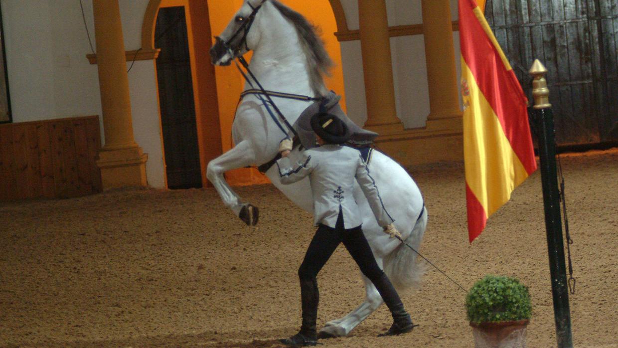 La Real Escuela del Arte Ecuestre acoge el XVII Campeonato de Andalucía de Doma de Alta Escuela