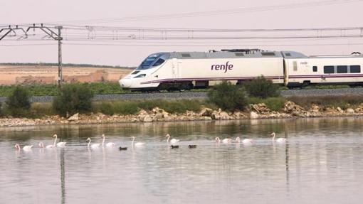 La conexión entre Cádiz y Madrid en tren, pendiente de mejora