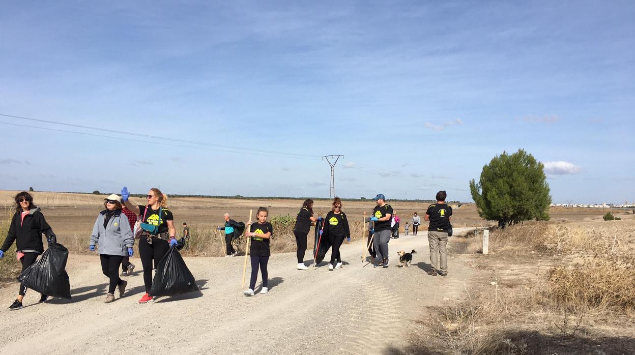 La limpieza por parte de los voluntarios se ha llevado a cabo en la conocida como «Puerta Verde de Utrera»