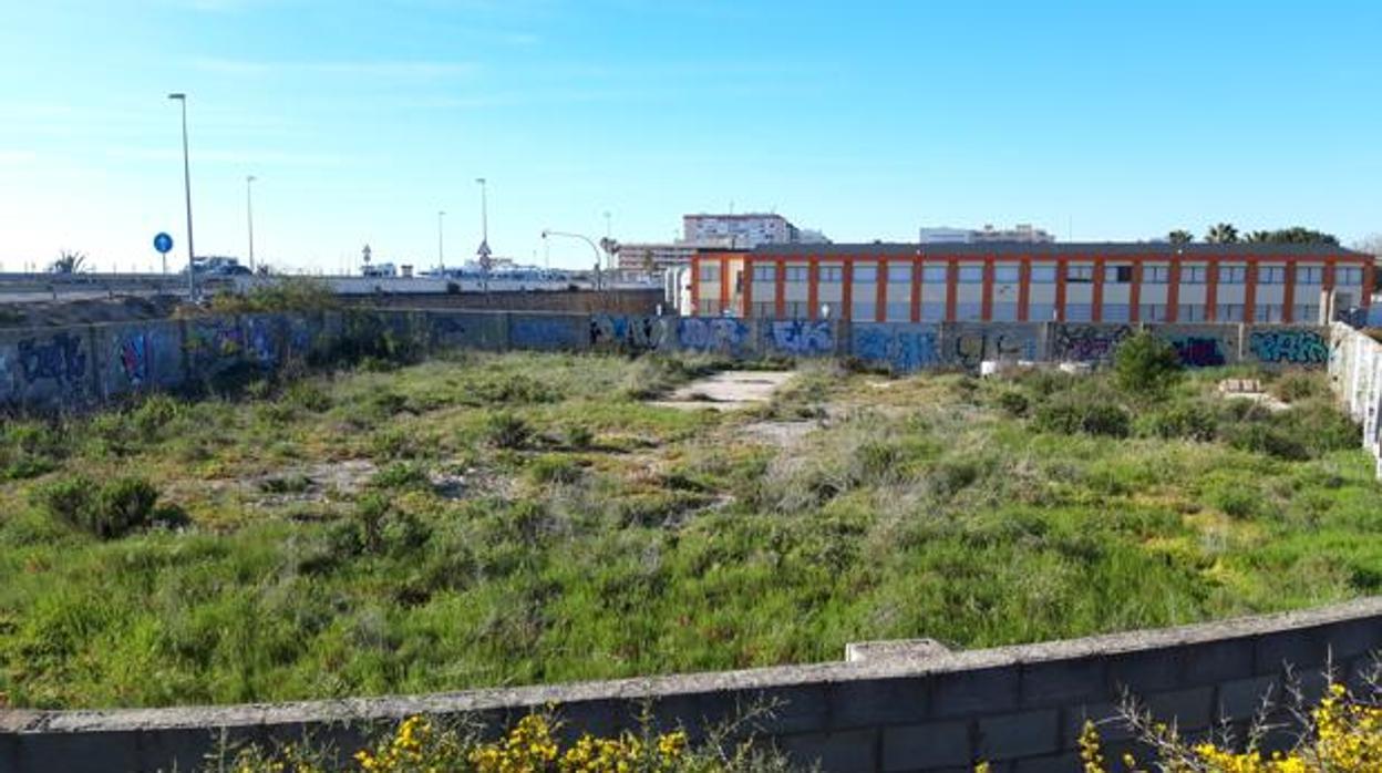 Parcela donde se ubicará el huerto escuela.