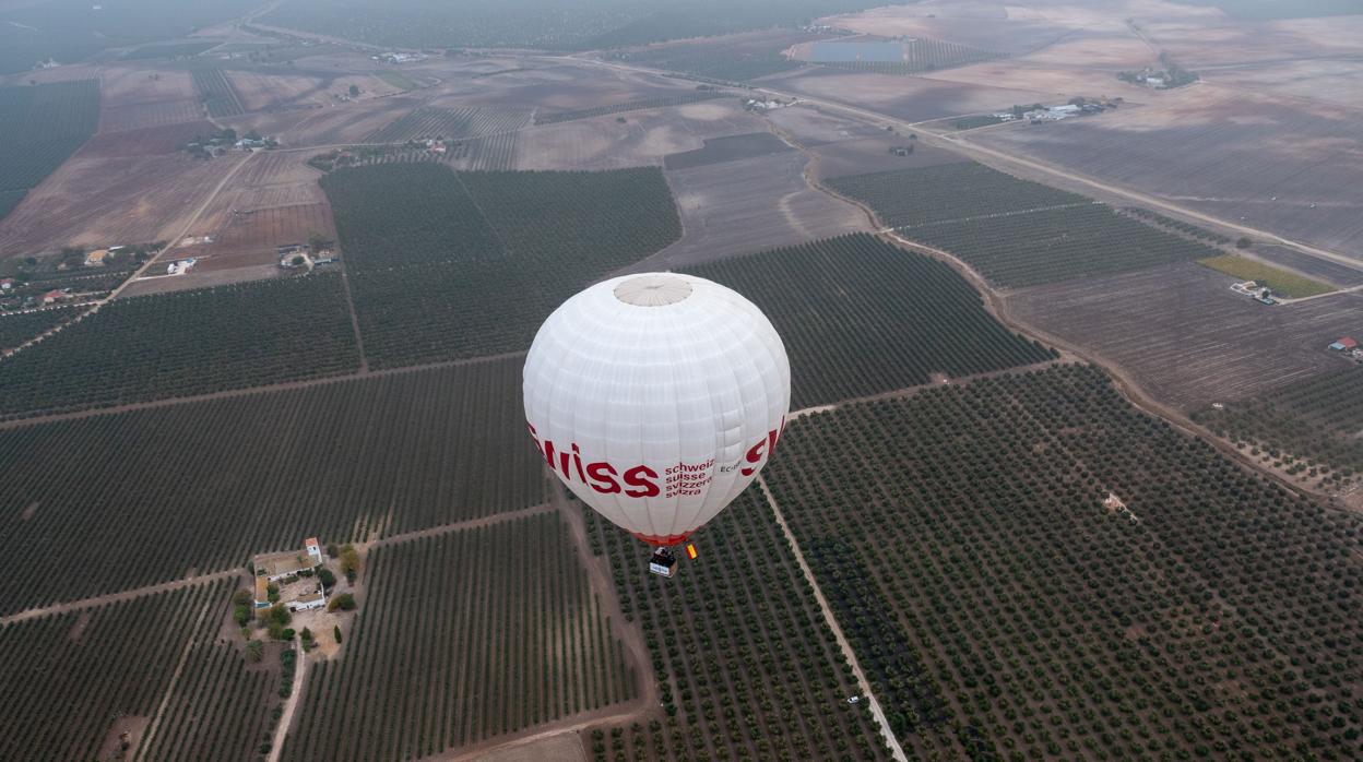 El globo aerostático sobre el olivar sevillano