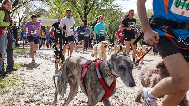 El Canicross toma protagonismo en Chiclana