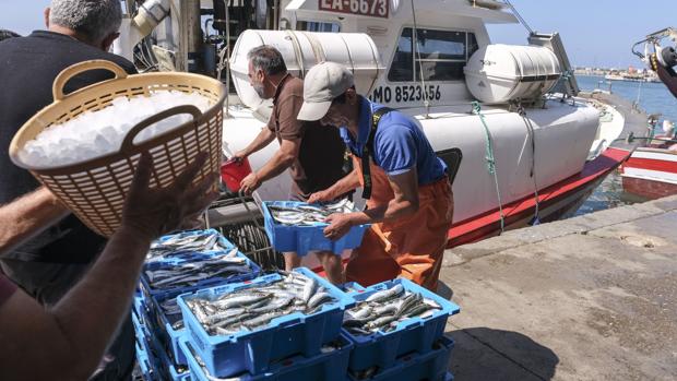 Dos millones a pescadores afectados por la parada en el Golfo de Cádiz